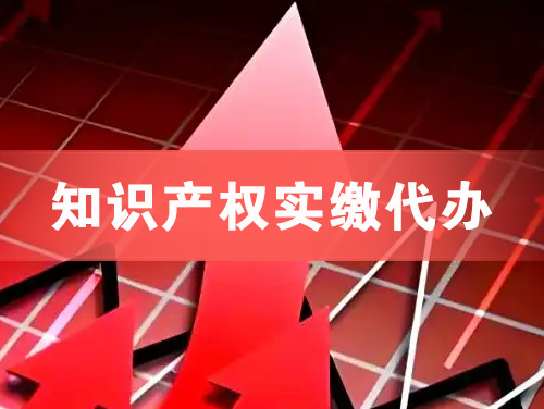 龙海知识产权实缴资本代办